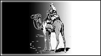 The Dark Side Of The Silk Road
